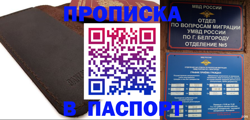 временная регистрация гарантия в Димитровграде